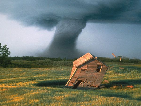 One photo is worth one thousand words (38 pics)