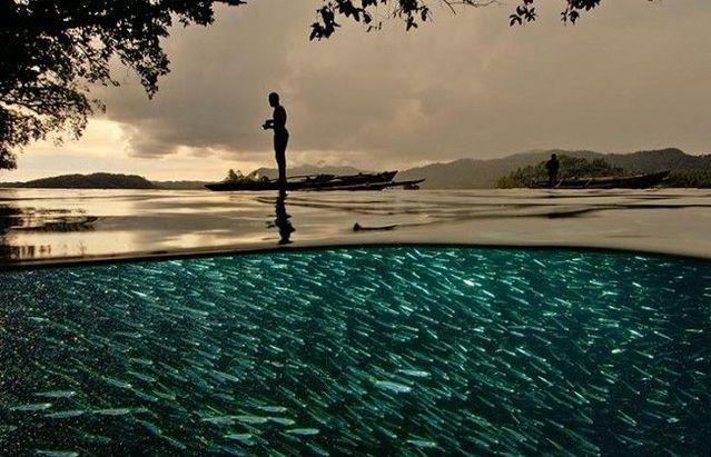 One photo is worth one thousand words (38 pics)