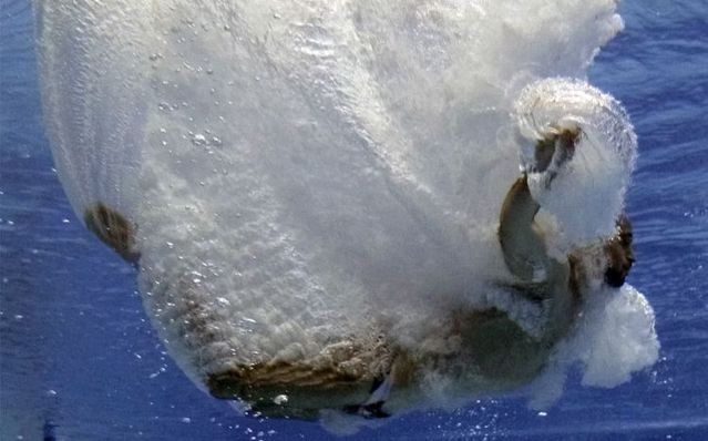 One photo is worth one thousand words (38 pics)
