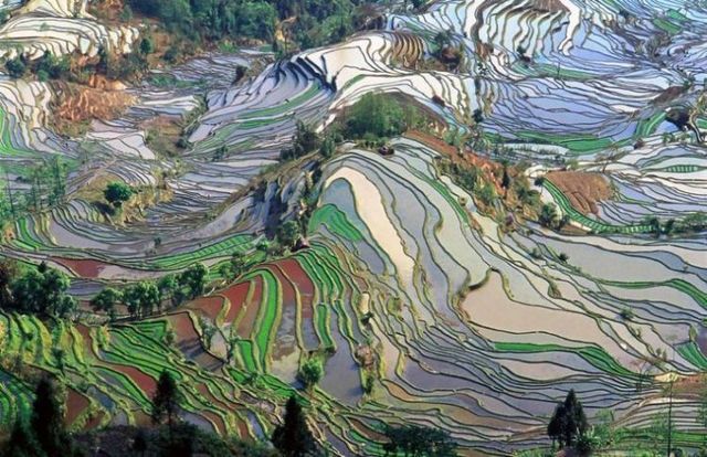 One photo is worth one thousand words (38 pics)