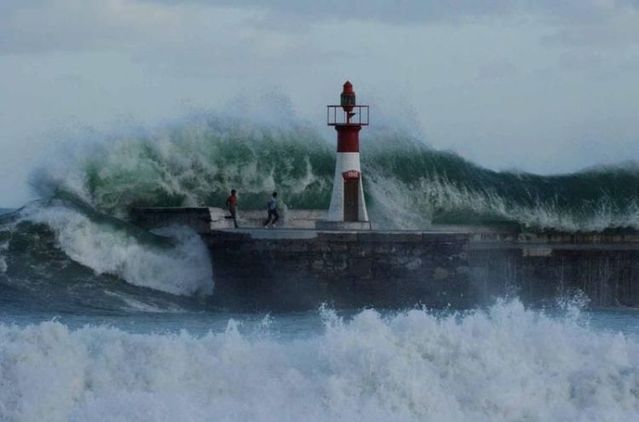 One photo is worth one thousand words (38 pics)
