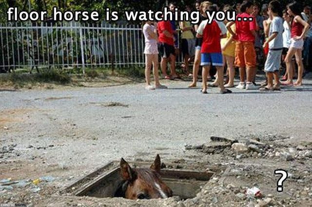 Daily picdump (122 pics)