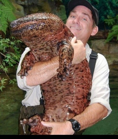 Daily picdump (122 pics)