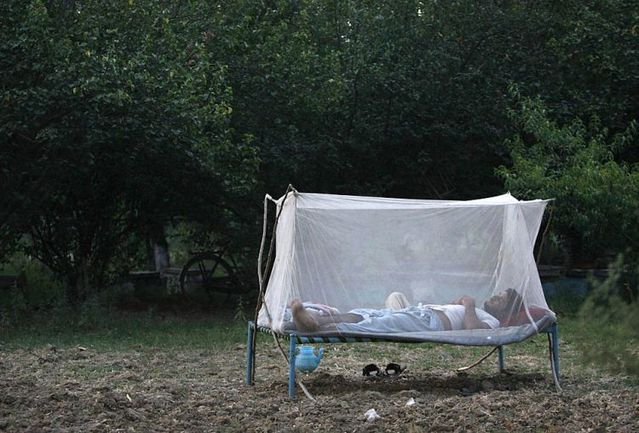 Daily picdump (122 pics)