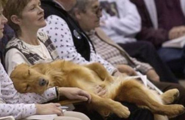 Daily picdump (122 pics)