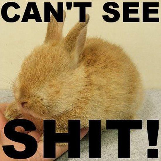 Daily picdump (122 pics)
