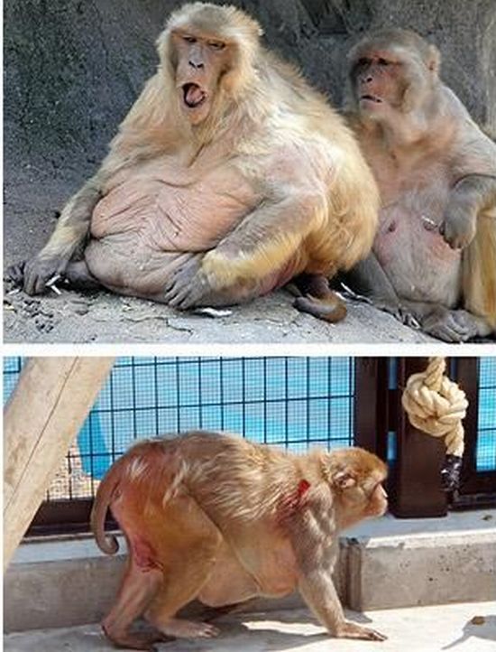 Daily picdump (122 pics)