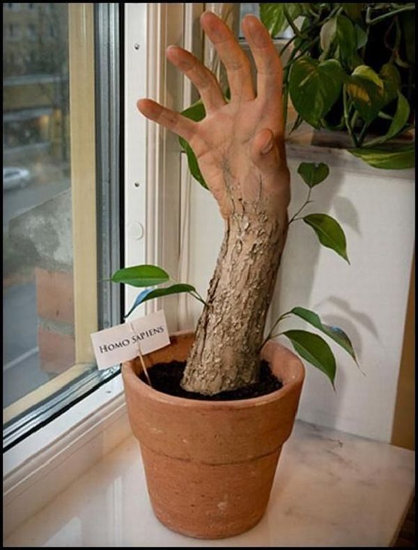 Daily picdump (122 pics)