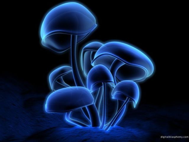 Nice selection of 3D wallpapers (45 pics)