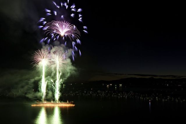 The most beautiful fireworks (35 pics)