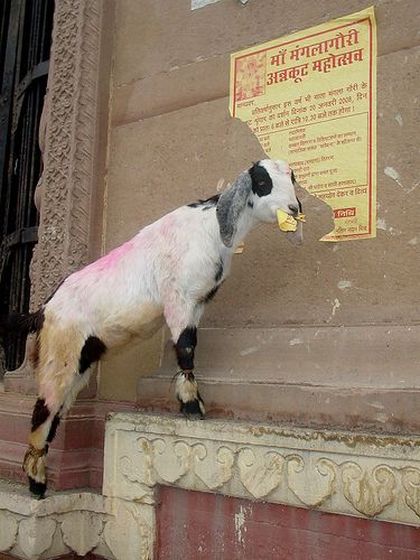 Daily picdump (130 pics)