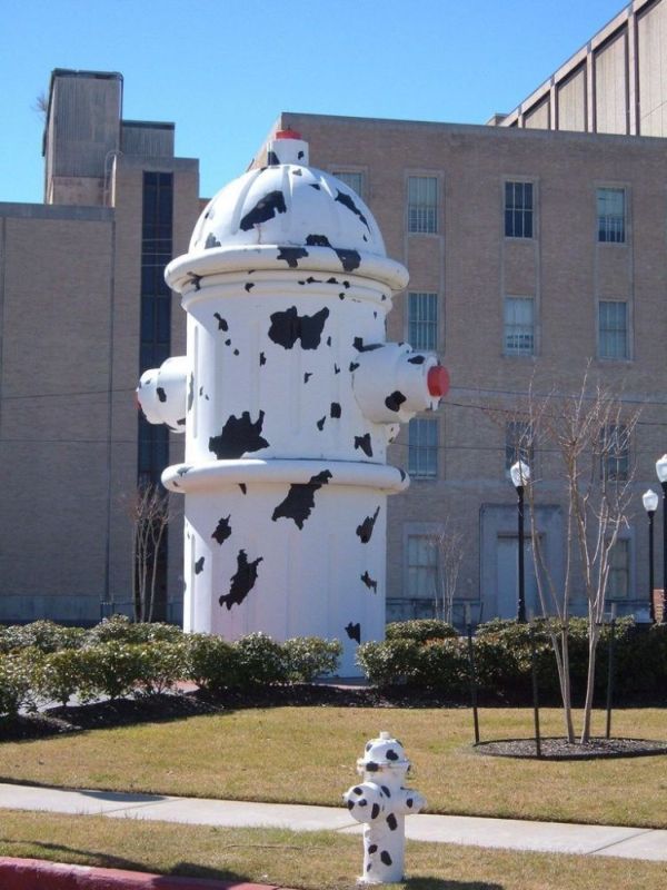 Daily picdump (130 pics)