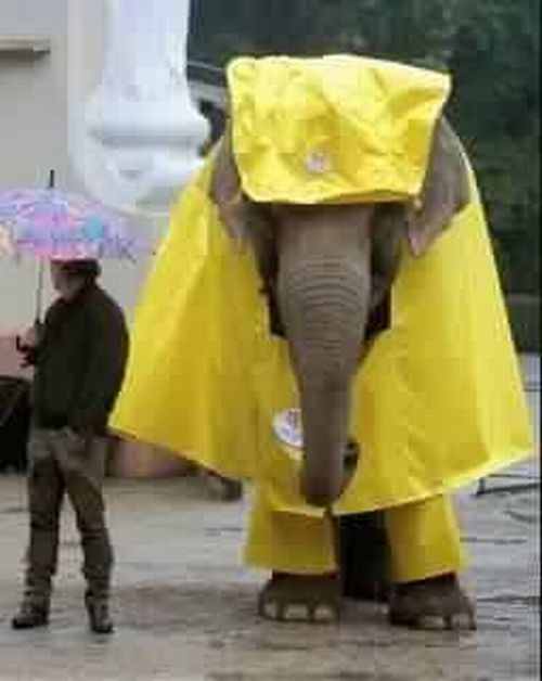 Daily picdump (130 pics)