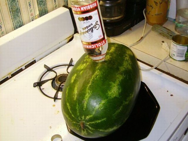Daily picdump (130 pics)
