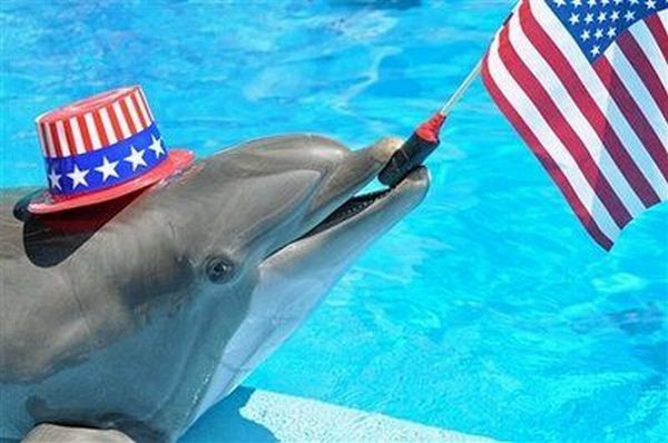 Daily picdump (130 pics)
