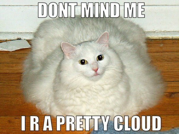 Daily picdump (130 pics)
