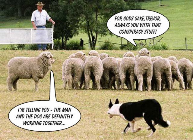 Daily picdump (130 pics)