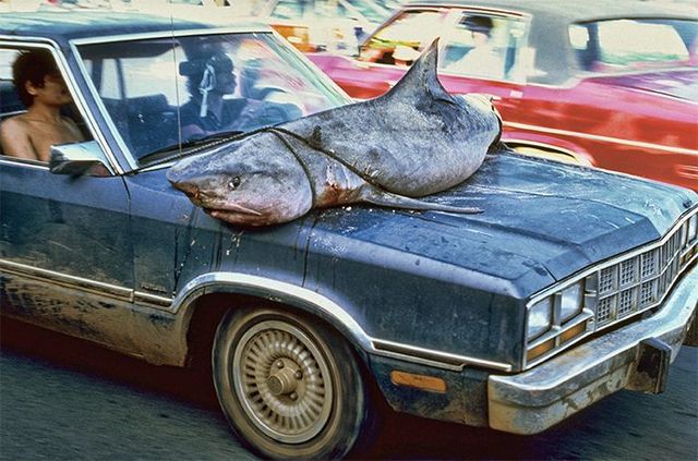 Daily picdump (130 pics)