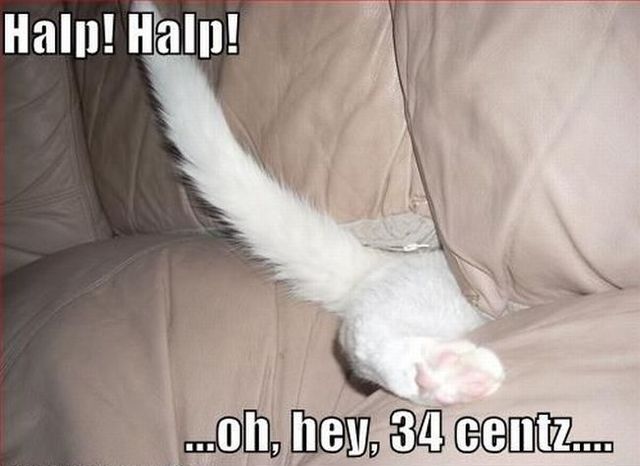 Daily picdump (130 pics)