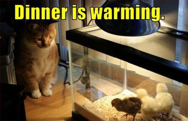 Daily picdump (131 pics) Daily picdump (131 pics)