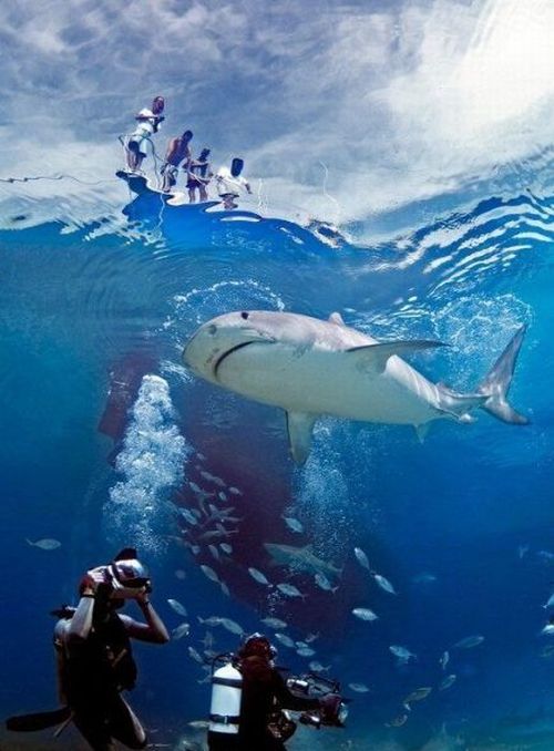 Daily picdump (130 pics)