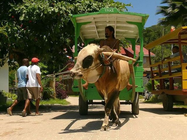 Daily picdump (130 pics)