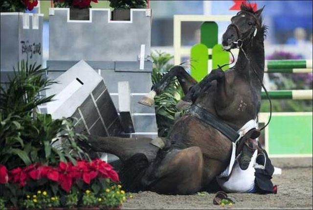 Daily picdump (130 pics)