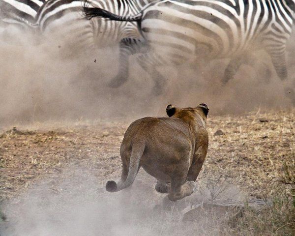 Daily picdump (130 pics)