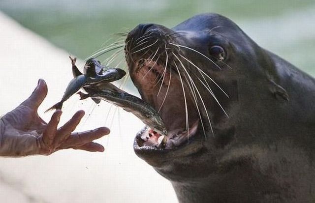 Daily picdump (130 pics)