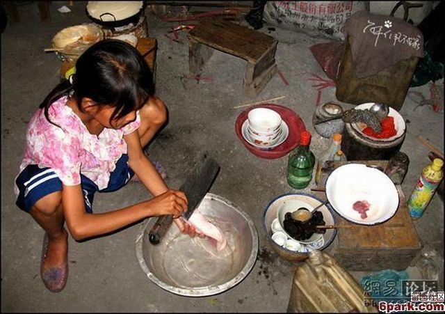 The hard life of a child (25 pics)