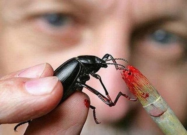 Size doesn’t matter... (9 pics)