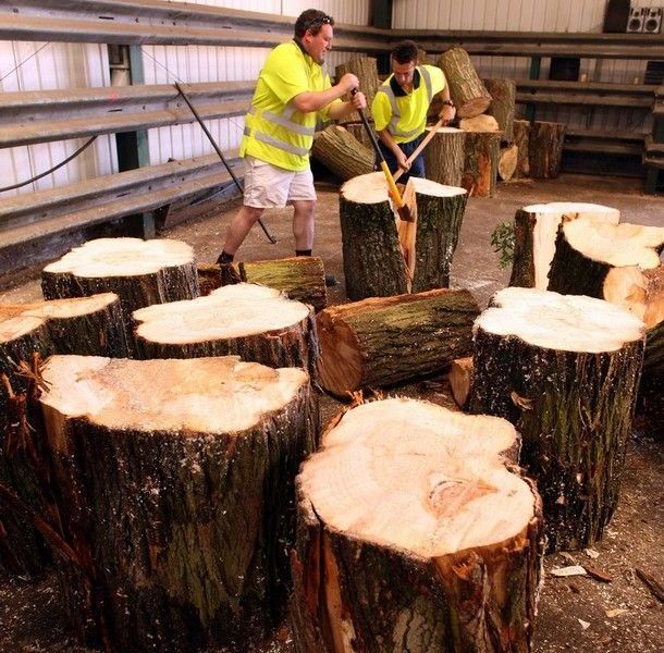 How cricket bats are carved from willow wood? (19 pics)
