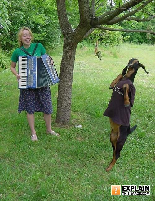 Random pictures that make no sense. Part 2 (61 pics)