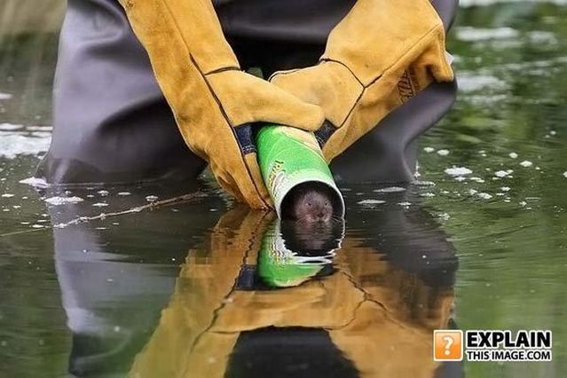 Random pictures that make no sense. Part 2 (61 pics)