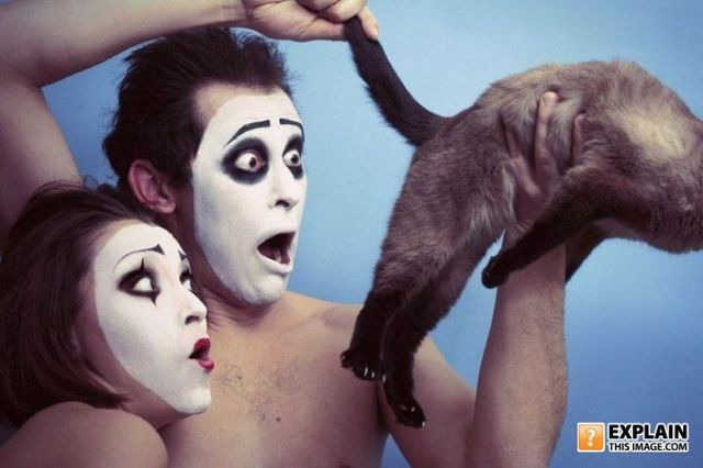 Random pictures that make no sense. Part 2 (61 pics)