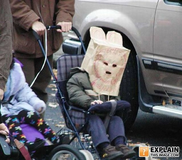 Random pictures that make no sense. Part 2 (61 pics)