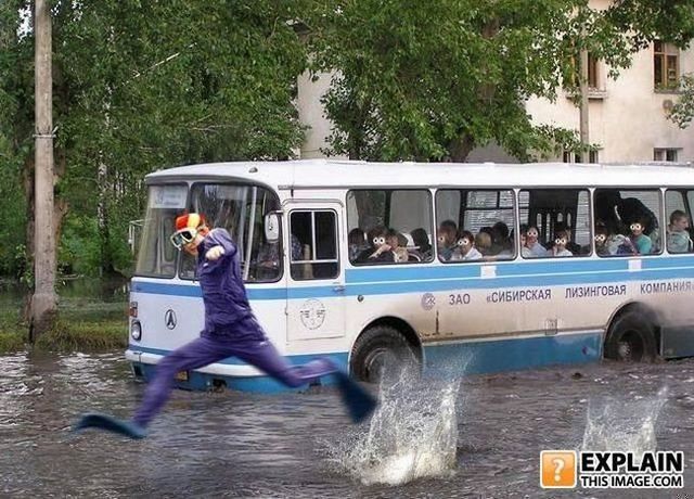 Random pictures that make no sense. Part 2 (61 pics)