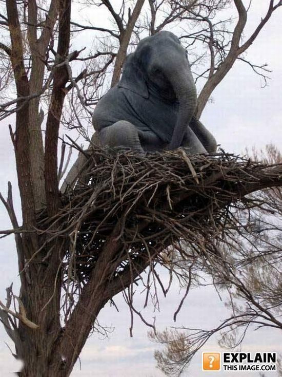 Random pictures that make no sense. Part 2 (61 pics)