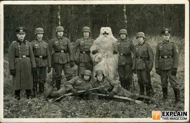 Random pictures that make no sense. Part 2 (61 pics)