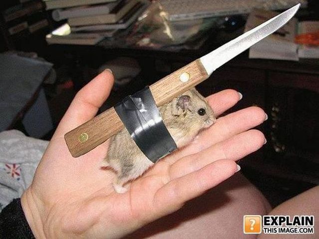 Random pictures that make no sense. Part 2 (61 pics)