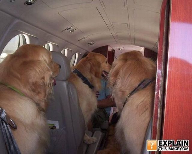 Random pictures that make no sense. Part 2 (61 pics)
