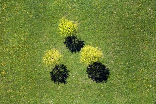 Beautiful photos taken from the sky (81 pics)