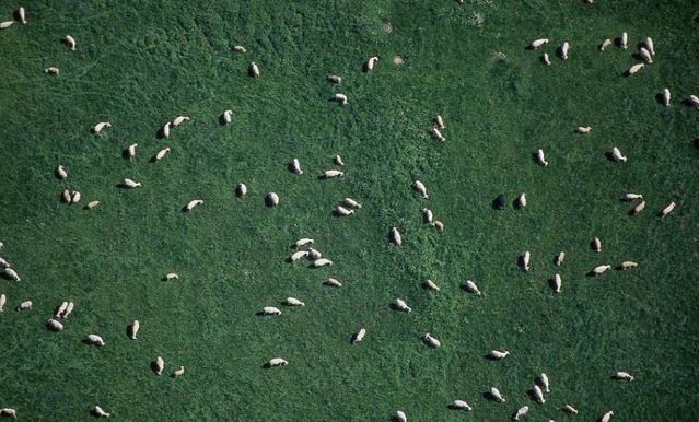 Beautiful photos taken from the sky (81 pics)