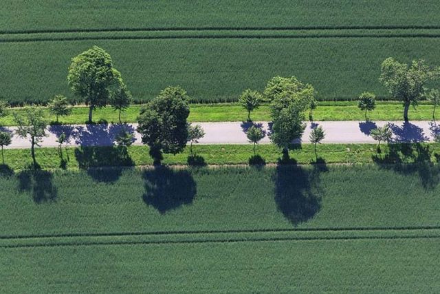 Beautiful photos taken from the sky (81 pics)