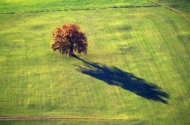 Beautiful photos taken from the sky (81 pics)
