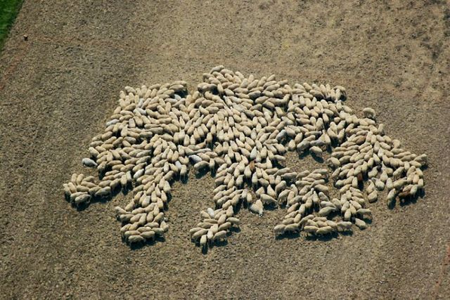 Beautiful photos taken from the sky (81 pics)