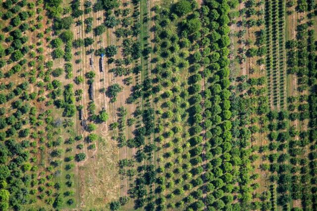 Beautiful photos taken from the sky (81 pics)