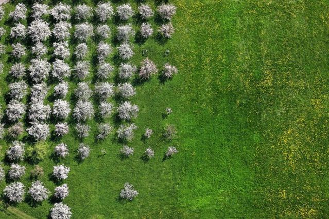 Beautiful photos taken from the sky (81 pics)