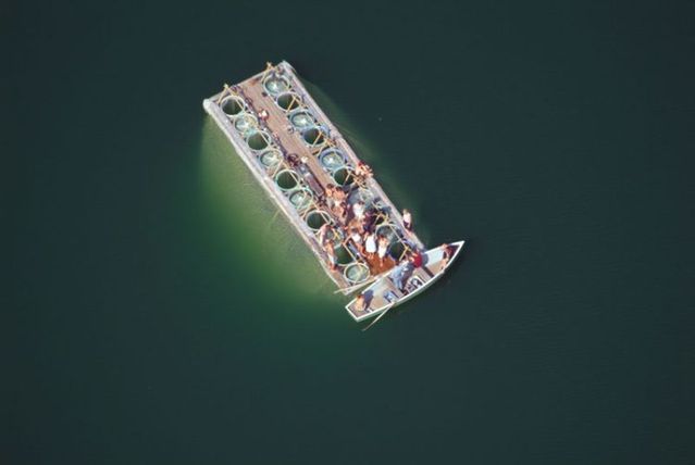Beautiful photos taken from the sky (81 pics)