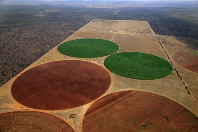 Beautiful photos taken from the sky (81 pics)